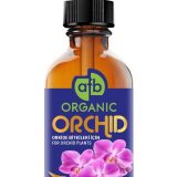 Orchid-IMG-20210413-WA0008